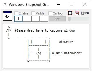 WindowsSnapshotGrabber,屏幕捕获.