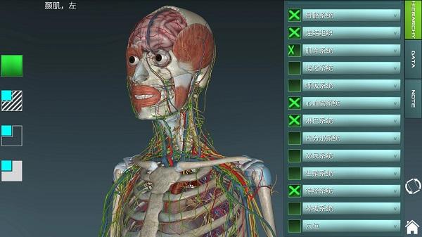 人体解剖学图集app最新版下载,人体解剖学图集,解剖app,医学app