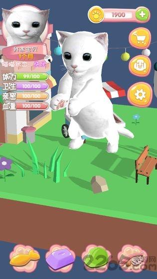 我家喵喵游戏(暂未上线),我家喵喵,经营游戏,养猫游戏