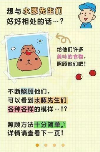 水豚先生水豚仔的观察日记手游下载,水豚先生水豚仔的观察日记,养成游戏,休闲游戏