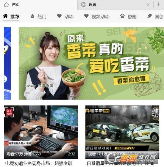 哔哩哔哩UWP,视频.